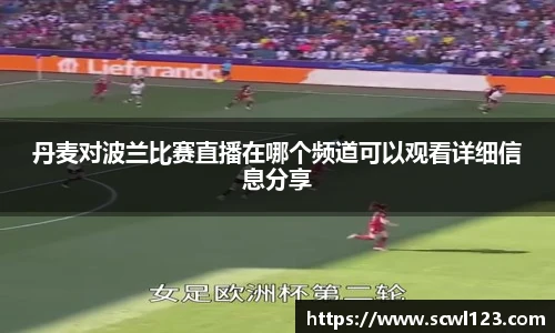 丹麦对波兰比赛直播在哪个频道可以观看详细信息分享